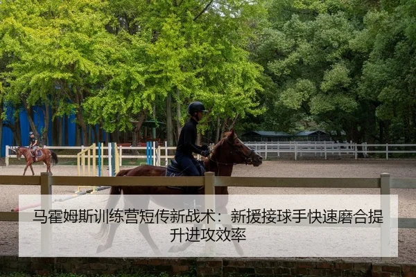 马霍姆斯训练营短传新战术：新援接球手快速磨合提升进攻效率