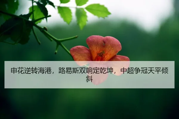 shen-hua-ni-zhuan-hai-gang-lu-yi-si-shuang-xiang-ding-qian-kun-zhong-chao-zheng-guan-tian-ping-qing-xie-2-193.jpg