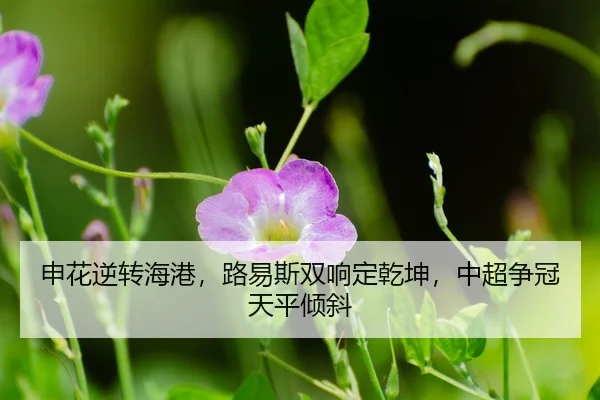shen-hua-ni-zhuan-hai-gang-lu-yi-si-shuang-xiang-ding-qian-kun-zhong-chao-zheng-guan-tian-ping-qing-xie-3-677.jpg