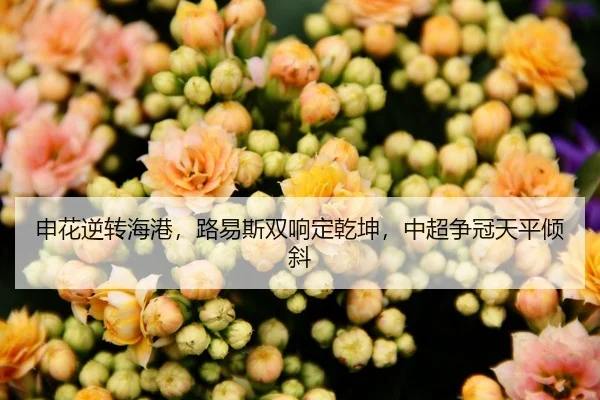 申花逆转海港，路易斯双响定乾坤，中超争冠天平倾斜