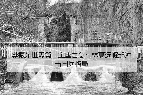 樊振东世界第一宝座告急：林高远崛起冲击国乒格局