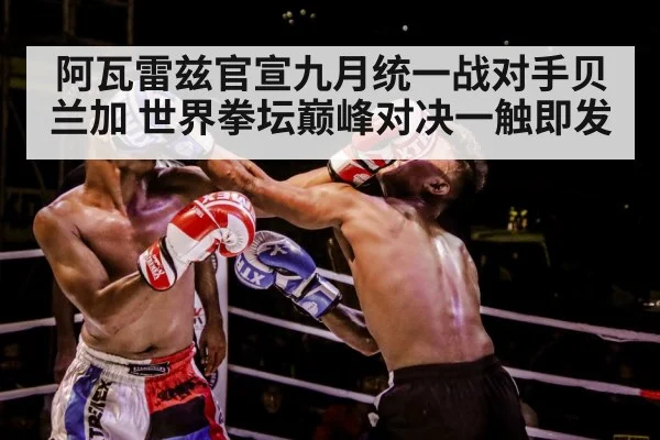 boxer training gloves