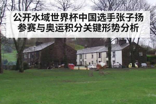 公开水域世界杯中国选手张子扬参赛与奥运积分关键形势分析